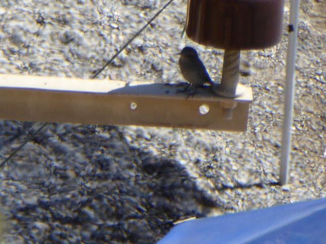 ../photos/crete/Bill/P1020888.jpg?t=1775404177