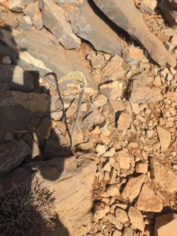 ../photos/crete/Jane/IMG_3858.jpg?t=1775387869