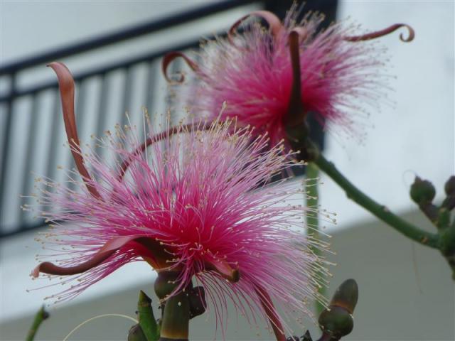 ../photos/cuba/Bill/P1060989.jpg?t=1775438967