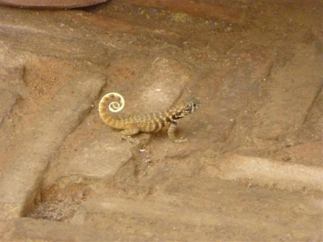 ../photos/cuba/Bill/P1070170.jpg?t=1775440371