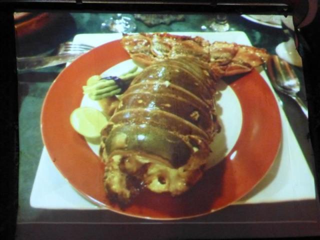 ../photos/cuba/Bill/P1070240.jpg?t=1775440371