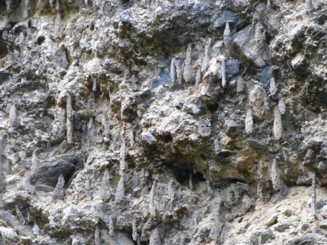 ../photos/cuba/Bill/P1070374.jpg?t=1775439601