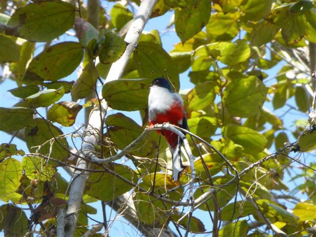 ../photos/cuba/Bill/P1070379.jpg?t=1775439601