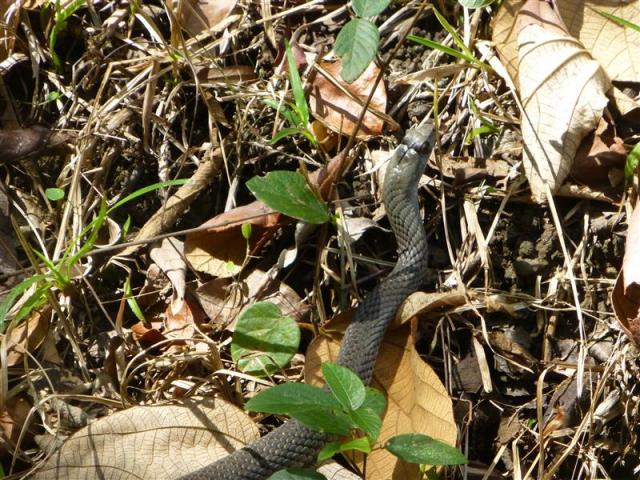 ../photos/cuba/Bill/P1070402.jpg?t=1775439601