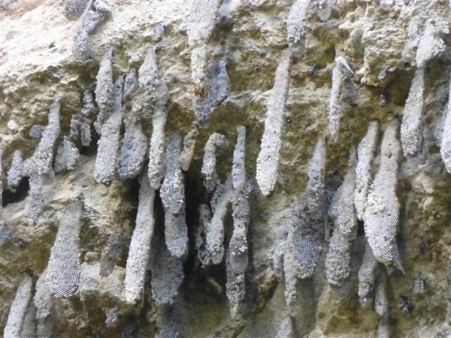 ../photos/cuba/Bill/P1070409.jpg?t=1775439601