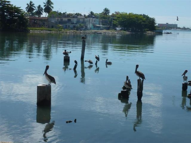 ../photos/cuba/Hugh/2014-02-11_16.41.37.jpg?t=1775439773