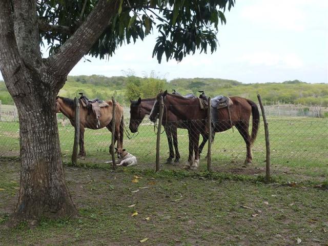 ../photos/cuba/Hugh/2014-02-14_17.15.57.jpg?t=1775439837