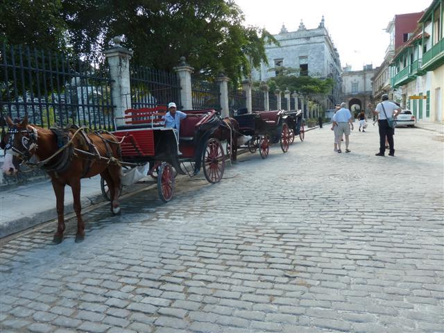 ../photos/cuba/Jane/P1090157.jpg?t=1775439360
