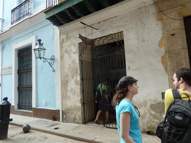 ../photos/cuba/Jane/P1090168.jpg?t=1775439360