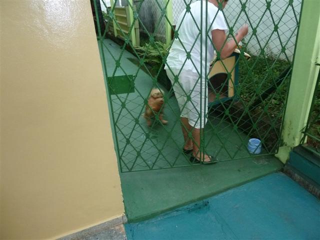 ../photos/cuba/Jane/P1090431.jpg?t=1775439699