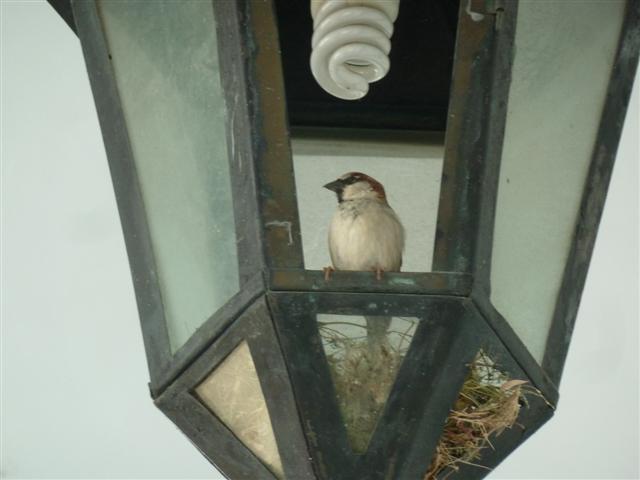 ../photos/cuba/Jane/P1090481.jpg?t=1775438967