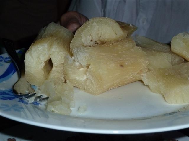 ../photos/cuba/Jane/P1090515.jpg?t=1775440371