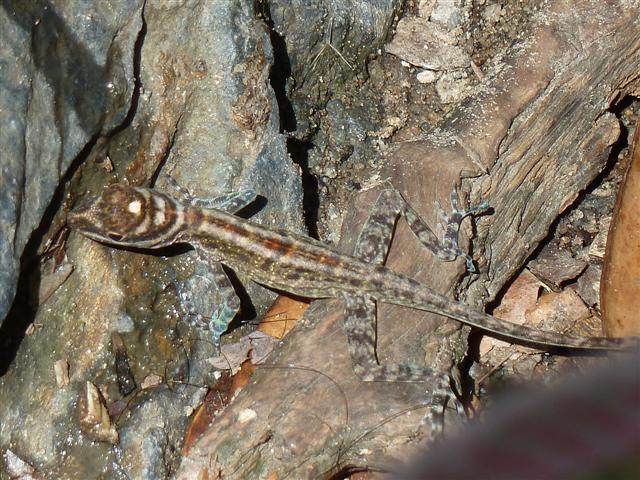 ../photos/cuba/Jane/P1090685.jpg?t=1775439601