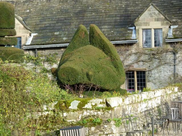 ../photos/derby/Jane/P1090012.jpg?t=1775440392