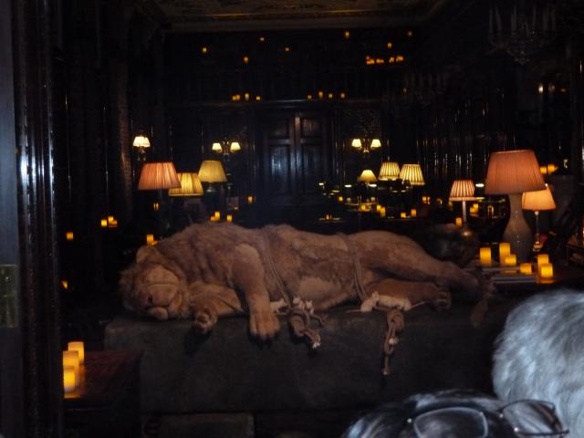 ../photos/derby/Jane/P1090038.jpg?t=1775440392