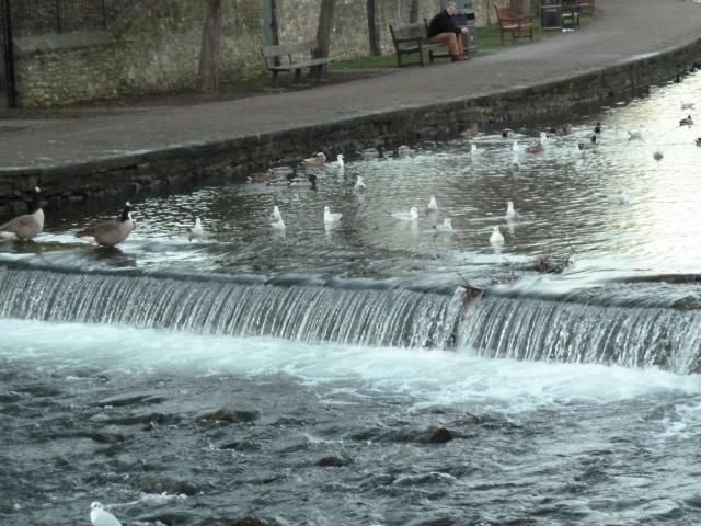 ../photos/derby/Jane/P1090068.jpg?t=1775440392