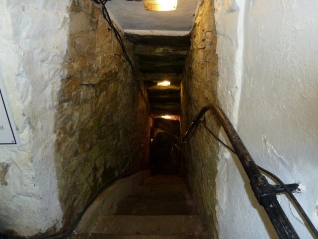 ../photos/derby/Jane/P1090090.jpg?t=1775412097