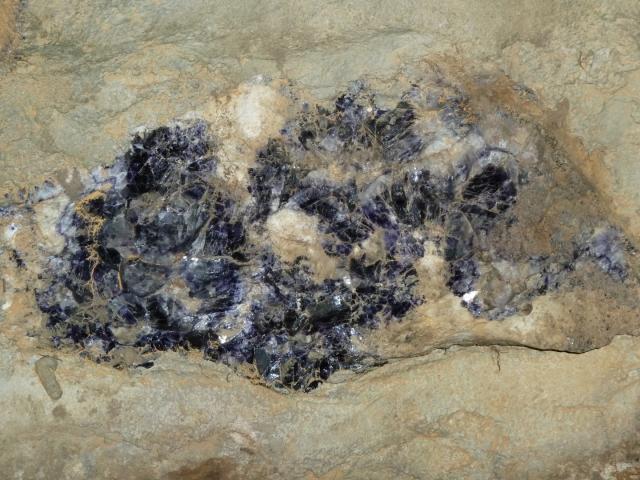 ../photos/derby/Jane/P1090092.jpg?t=1775412097