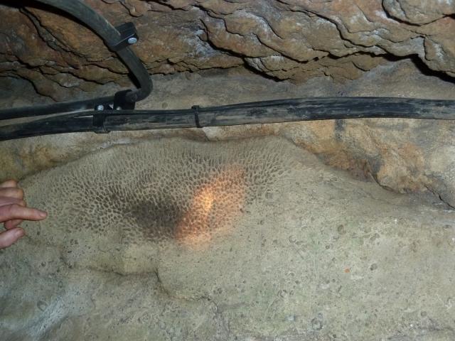 ../photos/derby/Jane/P1090095.jpg?t=1775412097