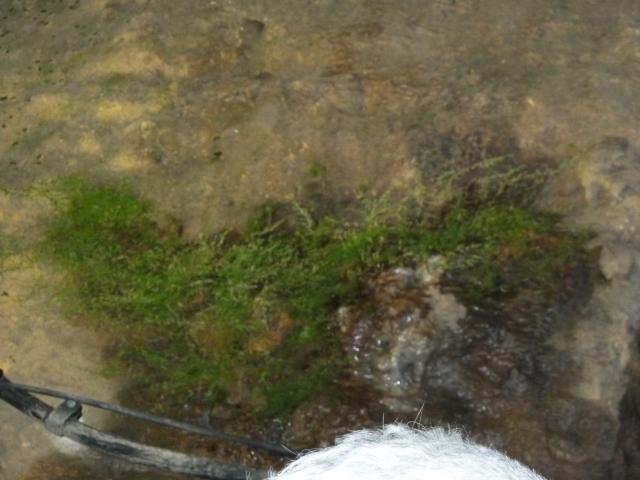 ../photos/derby/Jane/P1090101.jpg?t=1775412097