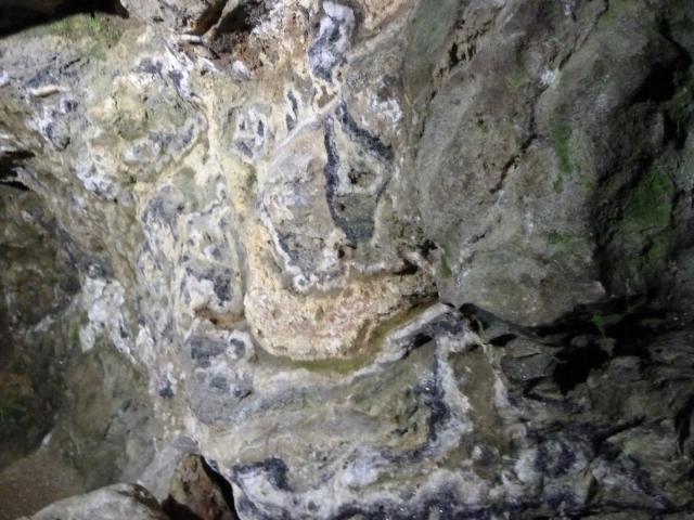 ../photos/derby/Jane/P1090108.jpg?t=1775412097