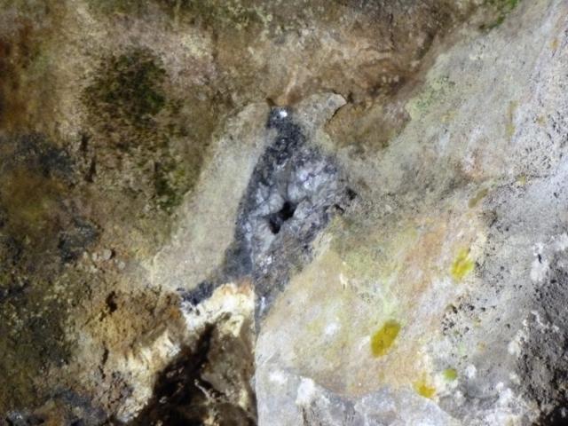 ../photos/derby/Jane/P1090110.jpg?t=1775412097