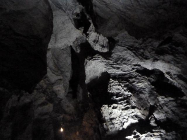 ../photos/derby/Jane/P1090111.jpg?t=1775412097