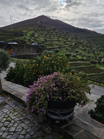 ../photos/douro/Joanne/2023PortugalQuintaDoTedo1.jpg?t=1775419513