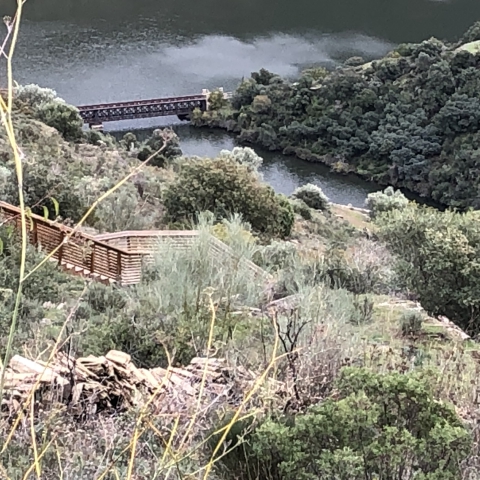 ../photos/douro/Mary/IMG_2742.jpg?t=1775421511