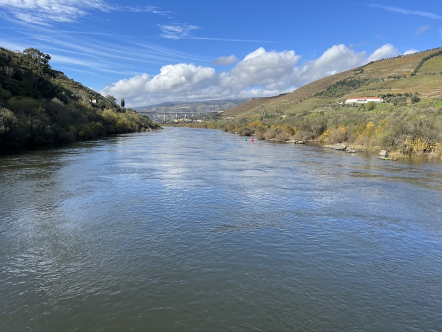 ../photos/douro/Nancy/IMG_0378.jpg?t=1775421352