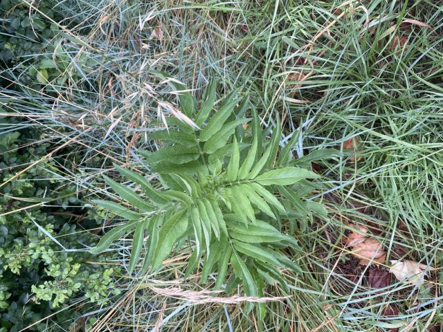 ../photos/fr2506/Graham/IMG_0621.jpg?t=1775218326