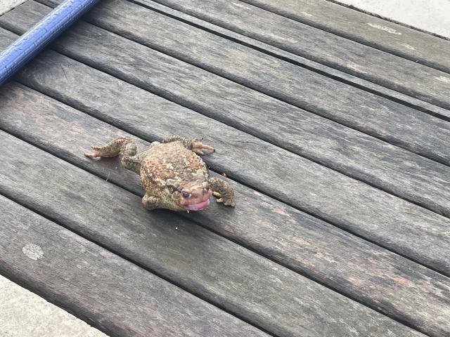 ../photos/fr2506/Graham/IMG_0625.jpg?t=1775218326