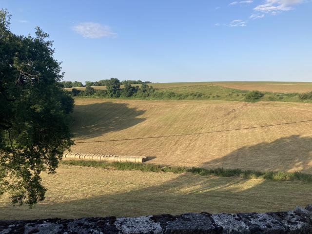 ../photos/fr2506/Hugh/IMG_3640.jpg?t=1775340655