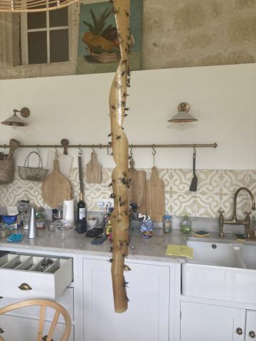 ../photos/fr2506/Hugh/IMG_3684.jpg?t=1775218326