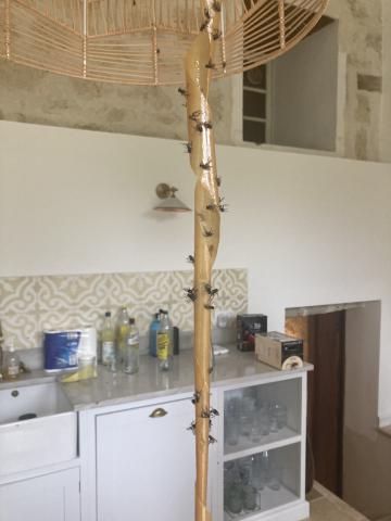 ../photos/fr2506/Hugh/IMG_3685.jpg?t=1775218326