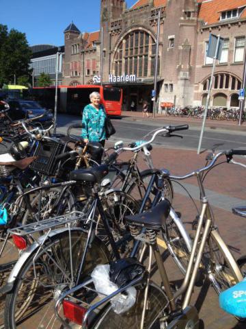 Pictures from Haarlem - IOSC reunion - 2016
