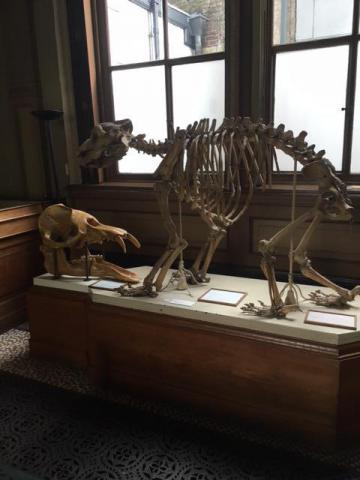 ../photos/haarlem/Jane/IMG_2475.jpg?t=1775439366