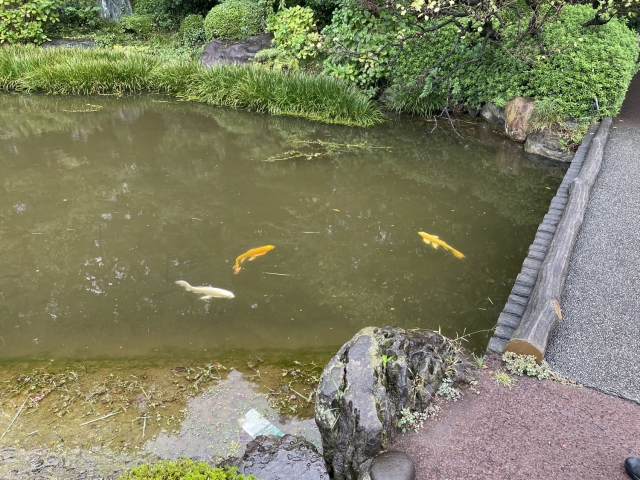 japan/Graham/IMG_7919.jpg