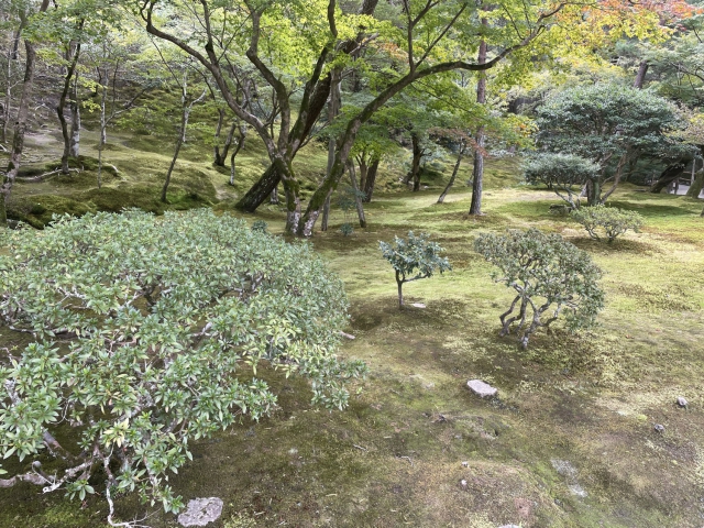 japan/Graham/IMG_8087.jpg