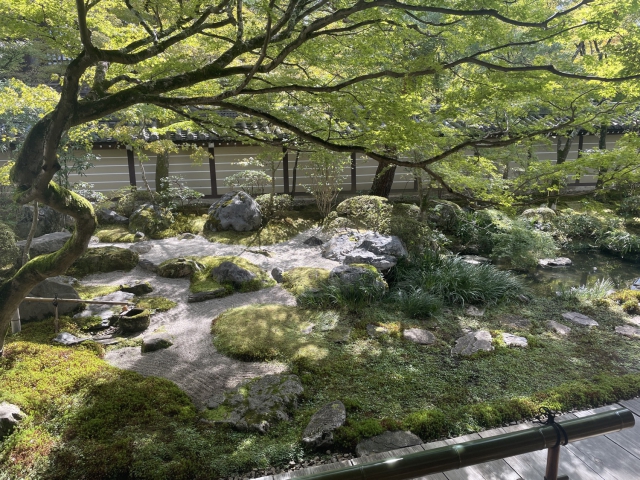 japan/Graham/IMG_8103.jpg
