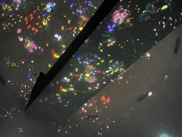 ../photos/korea/Graham/IMG_8845.jpg?t=1775439403