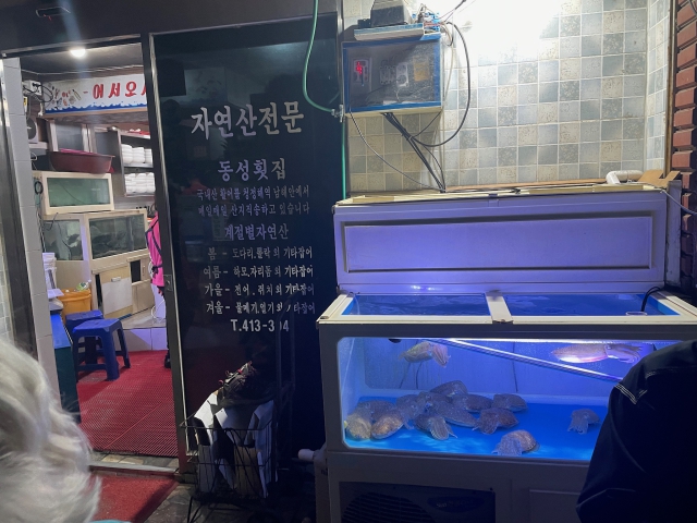 ../photos/korea/Graham/IMG_9073.jpg?t=1775265277