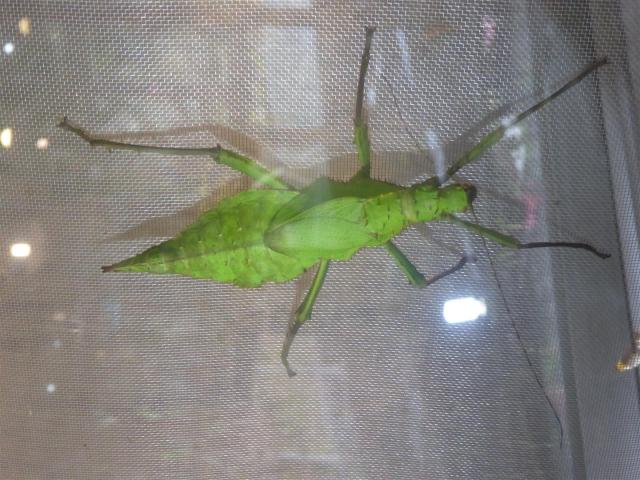 ../photos/malaysia/Bill/P1060091_Large_.jpg?t=1775411664