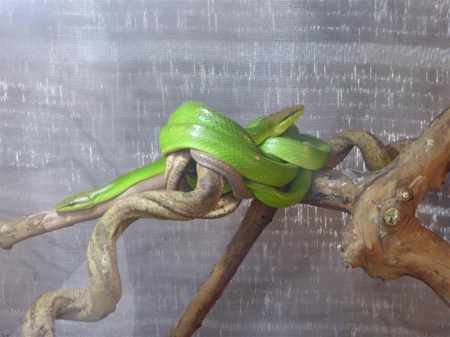 ../photos/malaysia/Bill/P1060113_Large_.jpg?t=1775411664