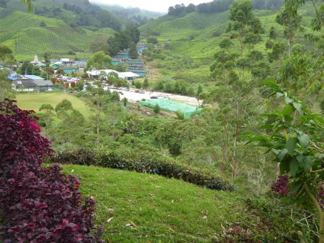 ../photos/malaysia/Bill/P1060147_Large_.jpg?t=1775411664