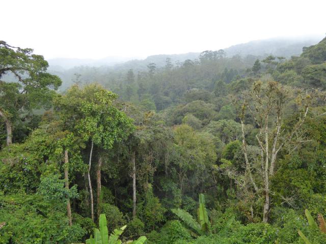 ../photos/malaysia/Bill/P1060157_Large_.jpg?t=1775411664