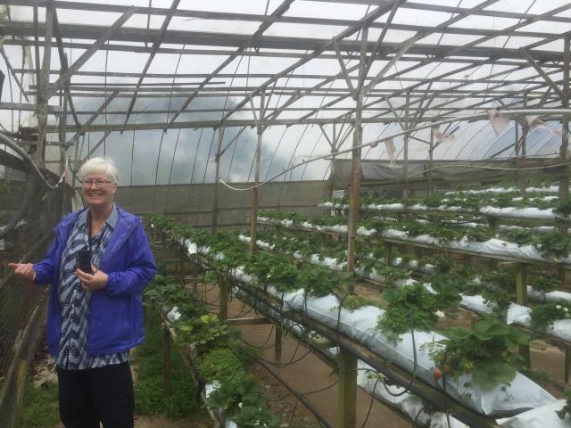 ../photos/malaysia/Graham/IMG_1940.jpg?t=1775411664