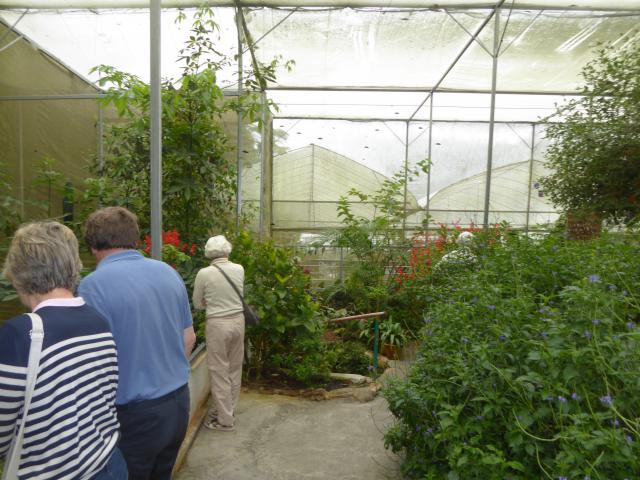 ../photos/malaysia/Jane/P1010951.jpg?t=1775411664