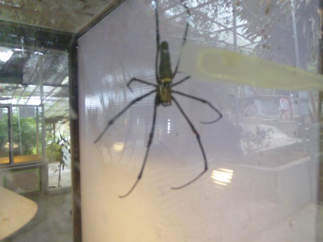 ../photos/malaysia/Jane/P1010966.jpg?t=1775411664