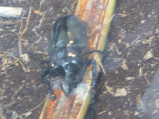 ../photos/malaysia/Jane/P1010967.jpg?t=1775411664